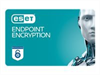 ESET Endpoint Encryption - Pro 1-10 User 2 Years