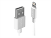 LINDY 1m USB to Lightning Cable white Charge and