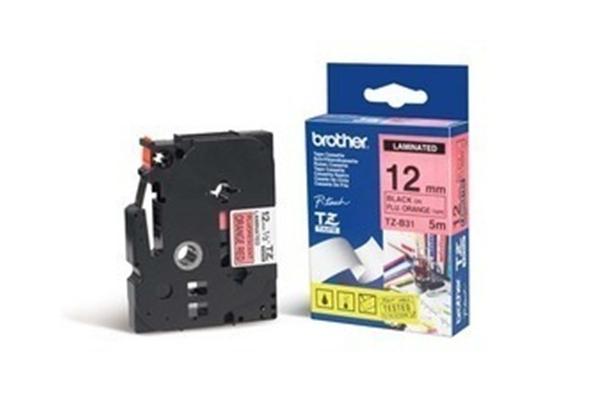 TZe-B31