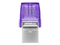 DTDUO3CG3/256GB