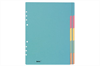 BIELLA Register Karton farbig A4