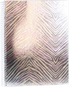 ANCOR Spiralbuch A4 Pink Zebra