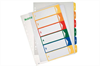 LEITZ Register PC-beschriftbar A4+