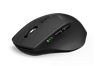 RAPOO Wireless Mouse