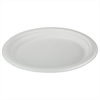EJS Teller aus Bagasse 23cm