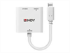 LINDY USB Type C to DP, converter, with power