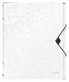 LEITZ Ordnungsmappe WOW PP A4