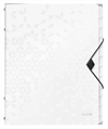 LEITZ Ordnungsmappe WOW PP A4
