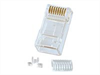 LINDY RJ45 Male Connector, 8 Pin UTP CAT6, Pack of