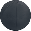 LEITZ Sitzball Ergo Active 55cm