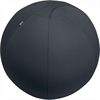 LEITZ Sitzball Ergo Active 75cm
