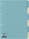 BÜROLINE Kartonregister A4
