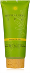 ACCENTRA Duschgel REFRESHING SPA