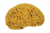 FRINA Naturschwamm