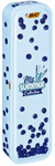 BIC Summer Metal Box