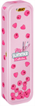 BIC Summer Metal Box