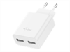 I-TEC Power Charger for USB Device Dual power