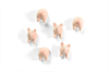 TRENDFORM Magnete PIGGY