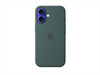 APPLE iPhone 16 Silicone Case with MagSafe - Lake