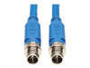 EATON TRIPPLITE M12, X-Code, Cat6a, 10G, F/UTP,