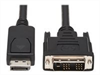 EATON TRIPPLITE DisplayPort to DVI Adapter Cable,
