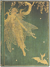 PAPERBLAN Notizbuch Olive Fairy Midi