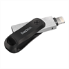 SANDISK USB-Stick iXpand 256GB