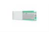 EPSON Tintenpatrone green