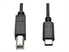 EATON TRIPPLITE USB-C to USB-B Cable - USB 2.0,