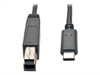 EATON TRIPPLITE USB-C to USB Type-B Cable, M/M -